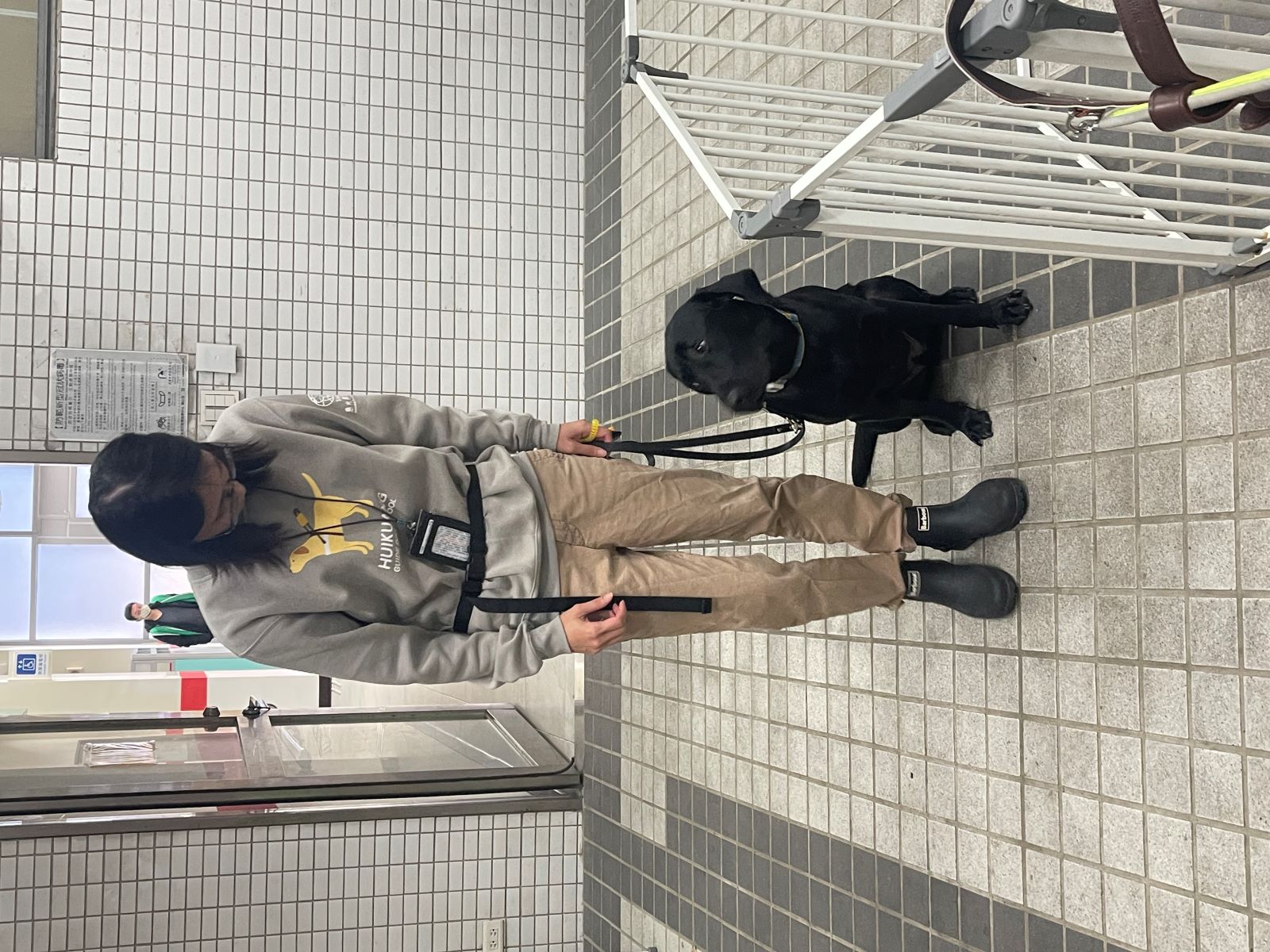 惠光導盲犬學校表示,每隻導盲犬訓練花費約100-120萬