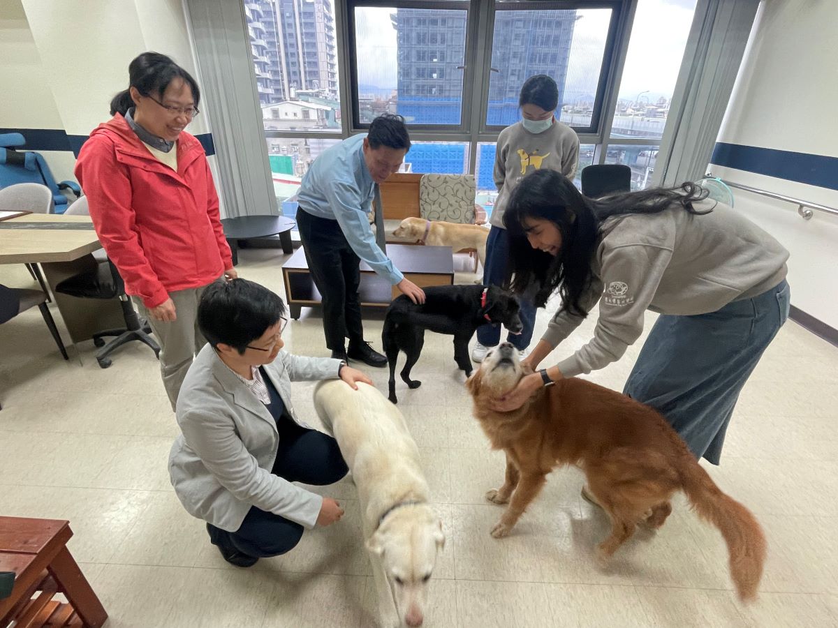 導盲犬需要寄養家庭，希望能替幼犬找到合適的寄養家庭