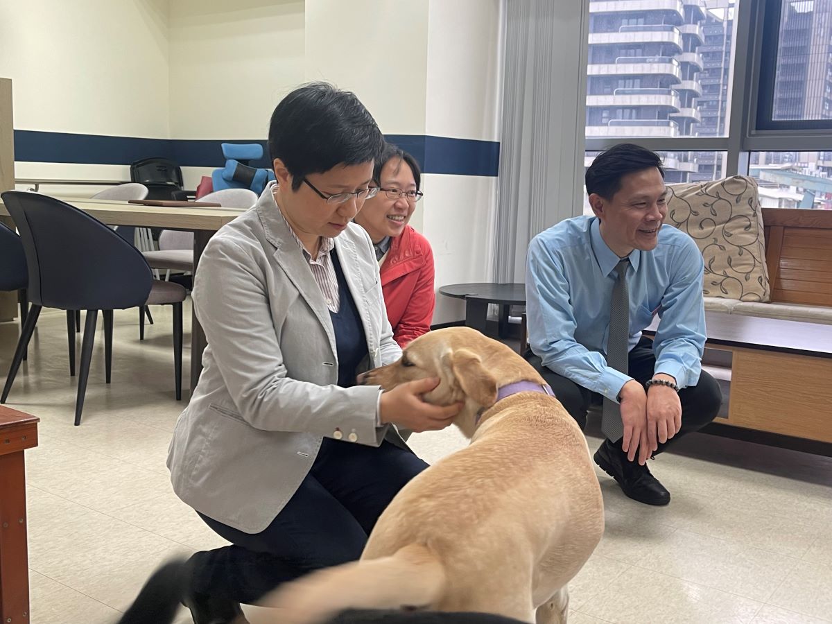 導盲犬訓練過程中途可能因為訓練過程的不適合就會無法成為導盲犬